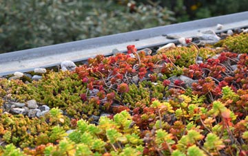 the cost of Leavening green roof installation