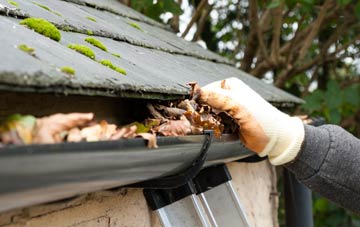 gutter cleaning Leavening, North Yorkshire