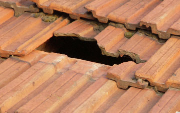 roof repair Leavening, North Yorkshire